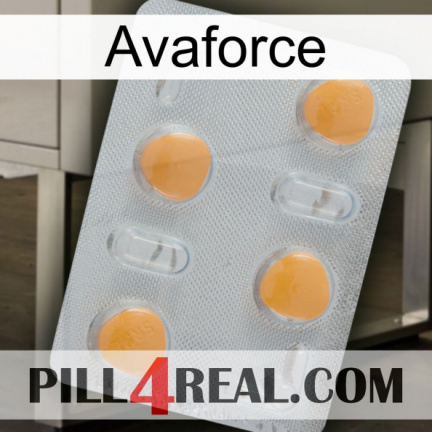 Avaforce 24